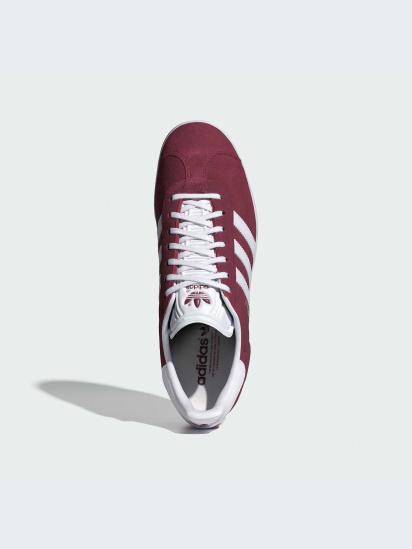 Кеды низкие adidas Gazelle модель B41645-KZ — фото - INTERTOP