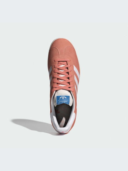 Кеды низкие adidas Gazelle модель IG6213-KZ — фото - INTERTOP