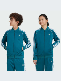 Бирюзовый - Кофта adidas Adicolor