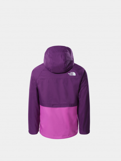 Горнолыжная куртка The North Face модель NF0A5GCJJC01 — фото 3 - INTERTOP