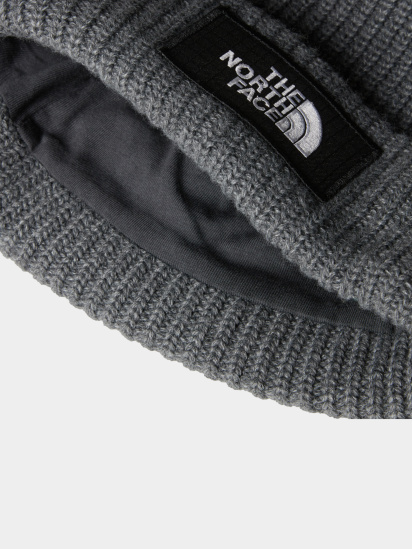 Шапка SALTY LINED BEANIE модель NF0A3FJW36P1 — фото - INTERTOP