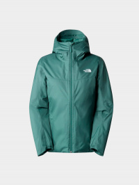 Зелёный - Зимняя куртка The North Face