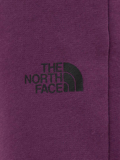 Штаны спортивные The North Face модель NF0A87E4V6V1 — фото 4 - INTERTOP