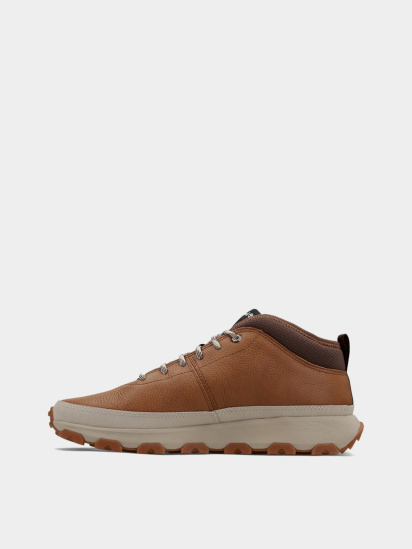 Кроссовки Timberland модель TB0A41X7EM6 — фото - INTERTOP