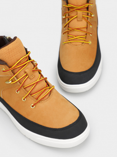 Кеды низкие Timberland модель TB0A5RXR231 — фото 3 - INTERTOP