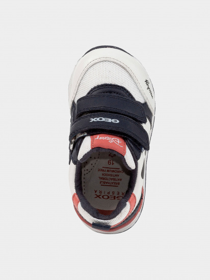 Кроссовки Geox модель B350RB-08554-C0899 — фото 4 - INTERTOP